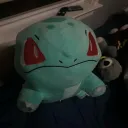 salko6031