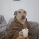 janispaul