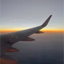 travary avatar