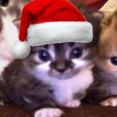 avatar 𝐁aalial 土