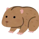 cxxxr