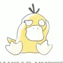 psyduck.1337
