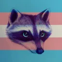 localraccoonenthusiast