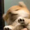 nimuuu