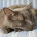 bennyboyblue121
