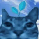 bokoblink