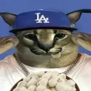 ttim_33cali