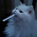 li__xx
