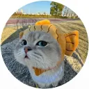 srtbbooo_