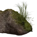 callousedrock