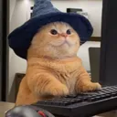 tomztheog
