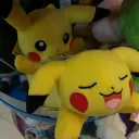 stallexa