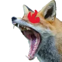 chickende_fox