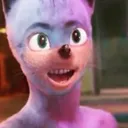 shadonlitvaca6995