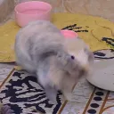 .cookieh