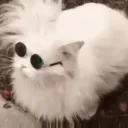 diegosssc