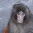 avatar ✧๋࣭ ₊