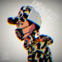 zolsticesr