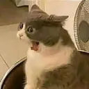 tomakata