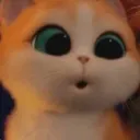 _daanvv_