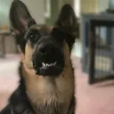 hiimaryes