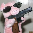 pigletpoop6860