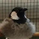 kizennnnnn