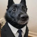 oddyandy21