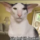 2kn7