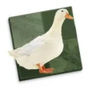 the20thduck