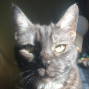 judyfps#8179's avatar