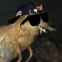 boborail