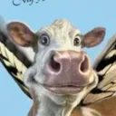 kosachev_bebebe avatar