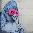 cheeky_gorilla