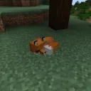 damqn4etobg