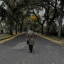 .tms21