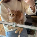 sozi_k