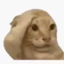 0xrtk
