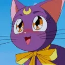 meowy6902