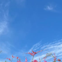 avatar 너무 보고싶어.