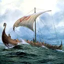 viking_seagull