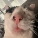 bemmm
