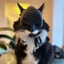 pwrobin