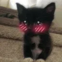 meowxww