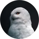 wanseoblim