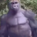 thegingerdemigod