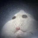 thesqueakysgwee