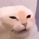07mmcgrath