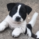 avatar ✨🍶𝕄𝕚𝕝𝕂 𝕋𝕖𝕒🍶✨