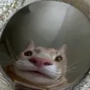 smrkndev